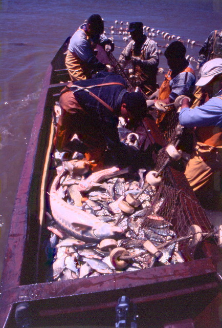 Boat 2