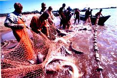 Fishermen_with_Nets