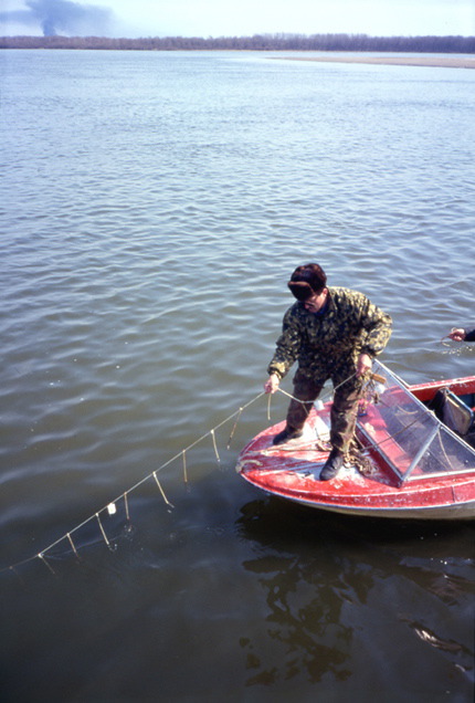 Boat 4